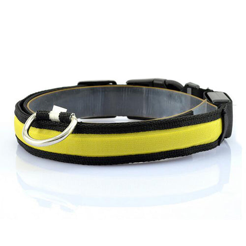 LED DOG COLLAR