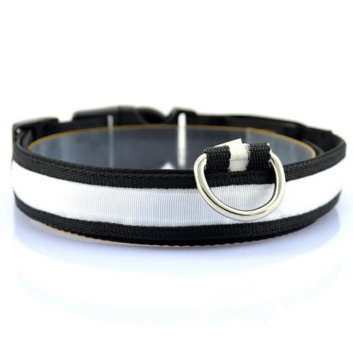 LED DOG COLLAR
