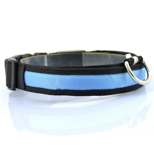 LED DOG COLLAR