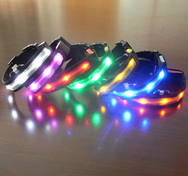 LED DOG COLLAR