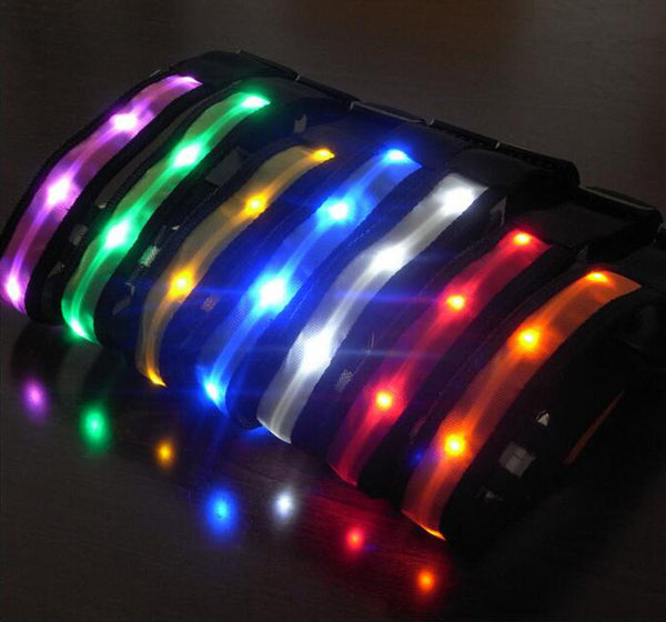 LED DOG COLLAR