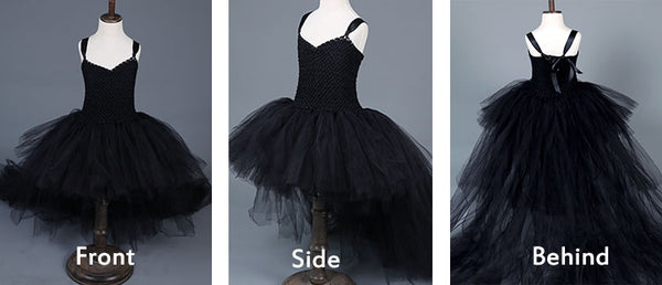 The Beautiful Black Beauty Dress Costume