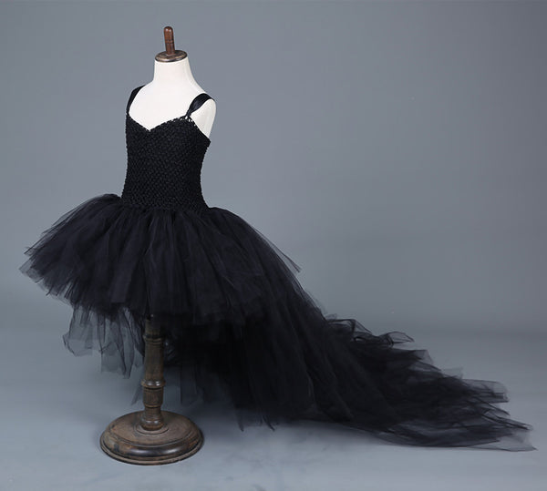 The Beautiful Black Beauty Dress Costume