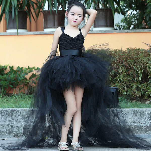 The Beautiful Black Beauty Dress Costume