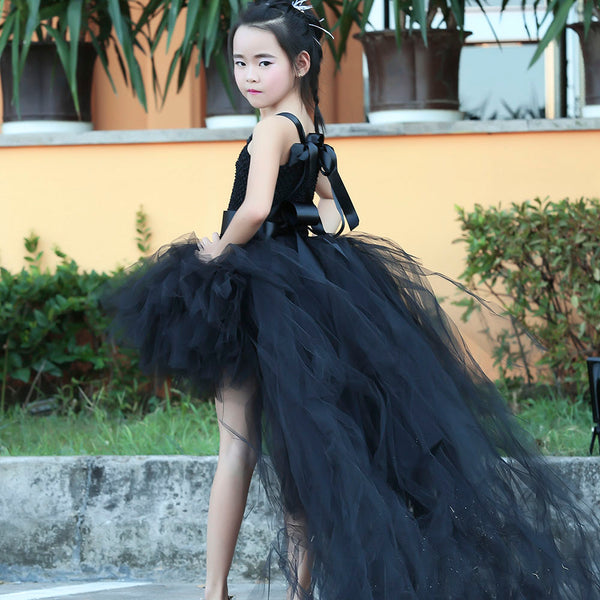 The Beautiful Black Beauty Dress Costume