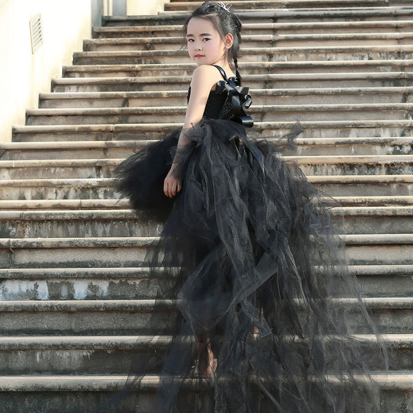 The Beautiful Black Beauty Dress Costume
