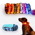 LED DOG COLLAR