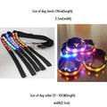 LED DOG COLLAR